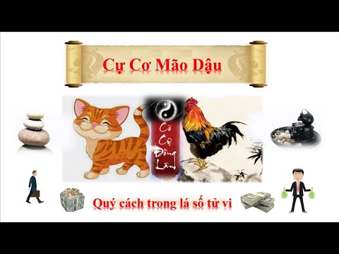 Cự Cơ Mão Dậu - ái ngộ song Hao - Chúng thủy triều Đông - Quý cách trong lá số tử vi.